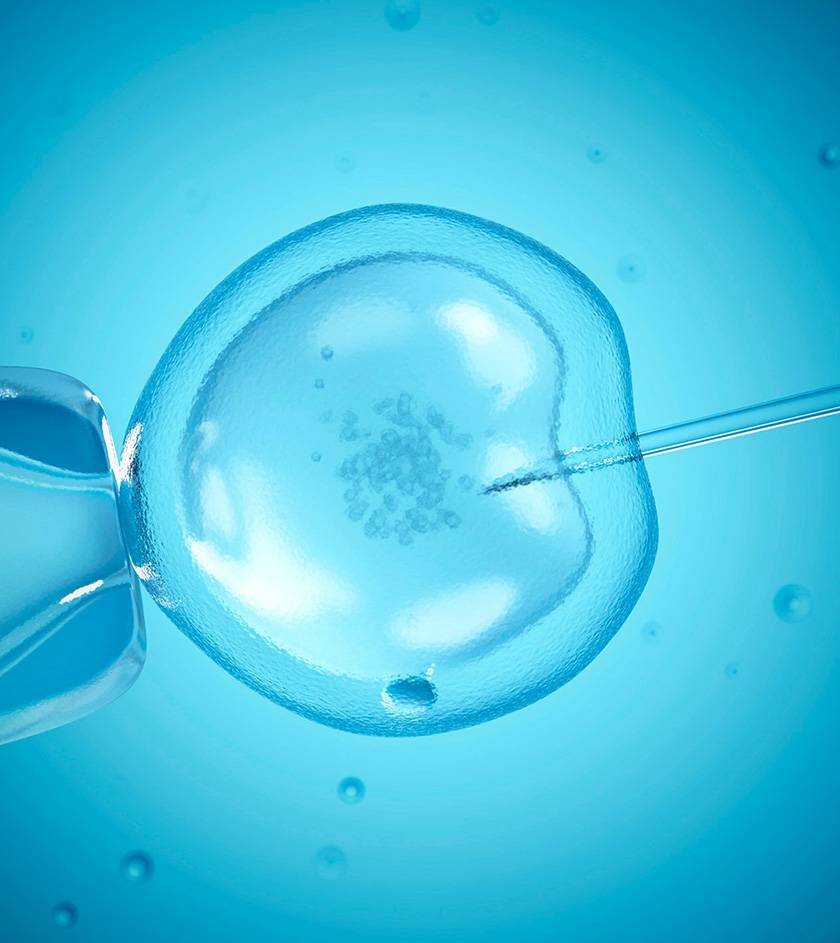 IVF Treatment in Perungudi, Chennai | LIVF Fertility