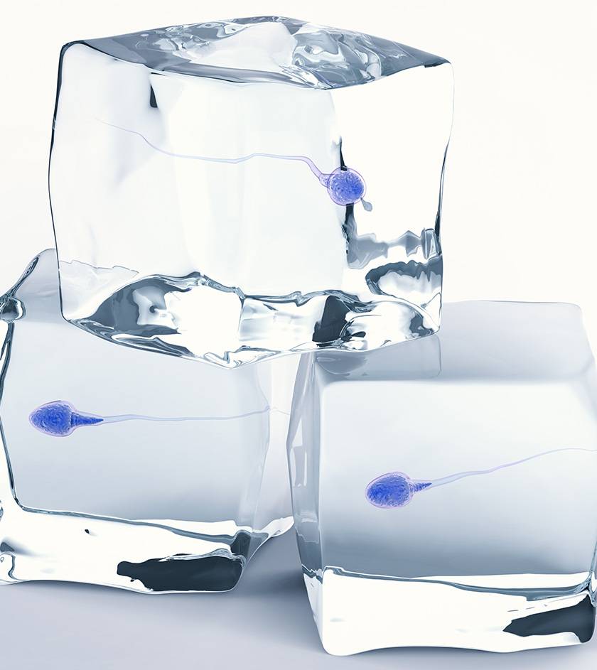 Sperm Freezing in India