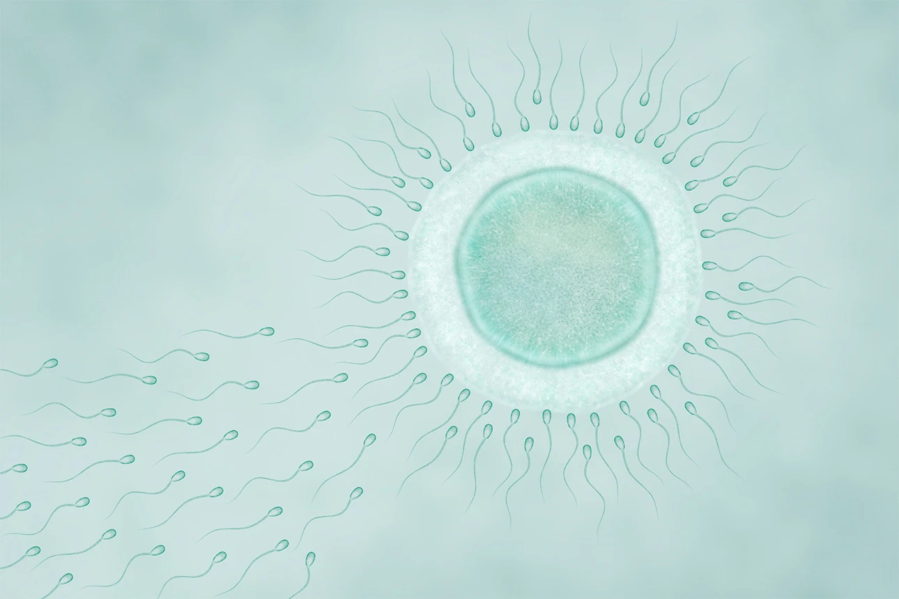 thyroid-health-fertility-tsh-irregular-periods